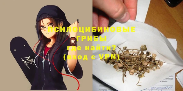 соль курить ск Богородицк