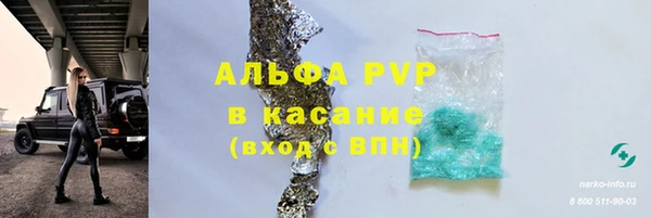 ПСИЛОЦИБИНОВЫЕ ГРИБЫ Богданович