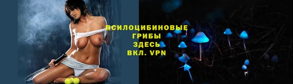 прущая мука Богородск
