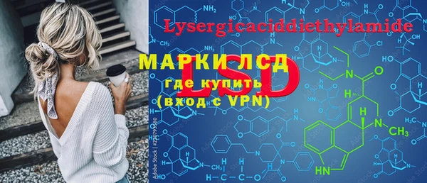 ПСИЛОЦИБИНОВЫЕ ГРИБЫ Богданович