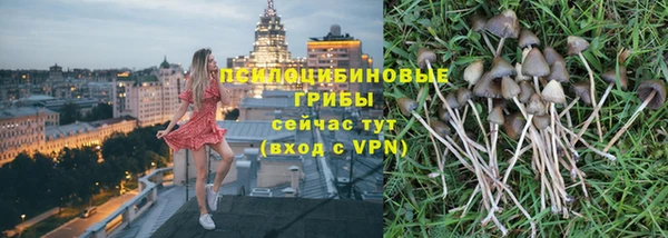прущая мука Богородск
