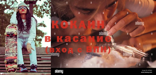 ПСИЛОЦИБИНОВЫЕ ГРИБЫ Богданович