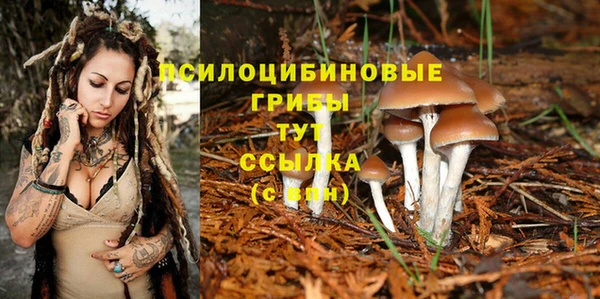 прущая мука Богородск