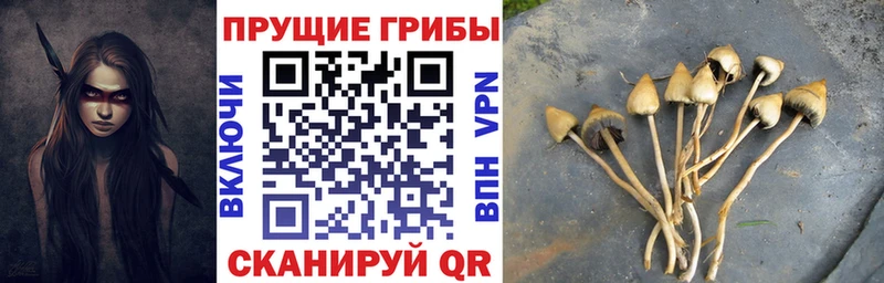 кракен зеркало Ильский Галлюциногенные грибы прущие грибы